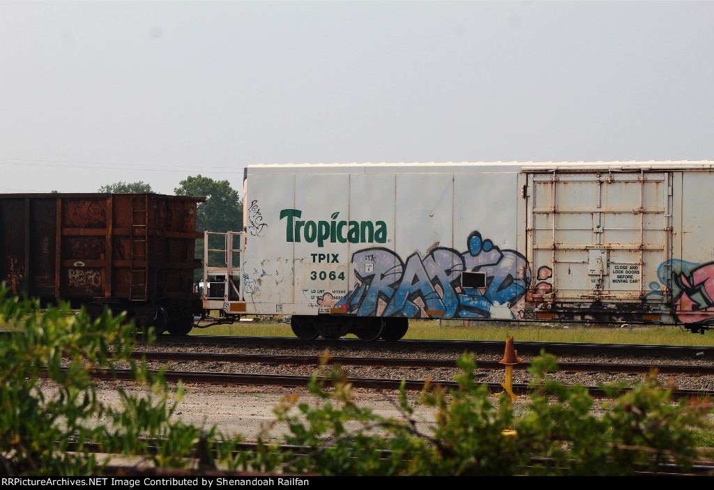 Tropicana 1